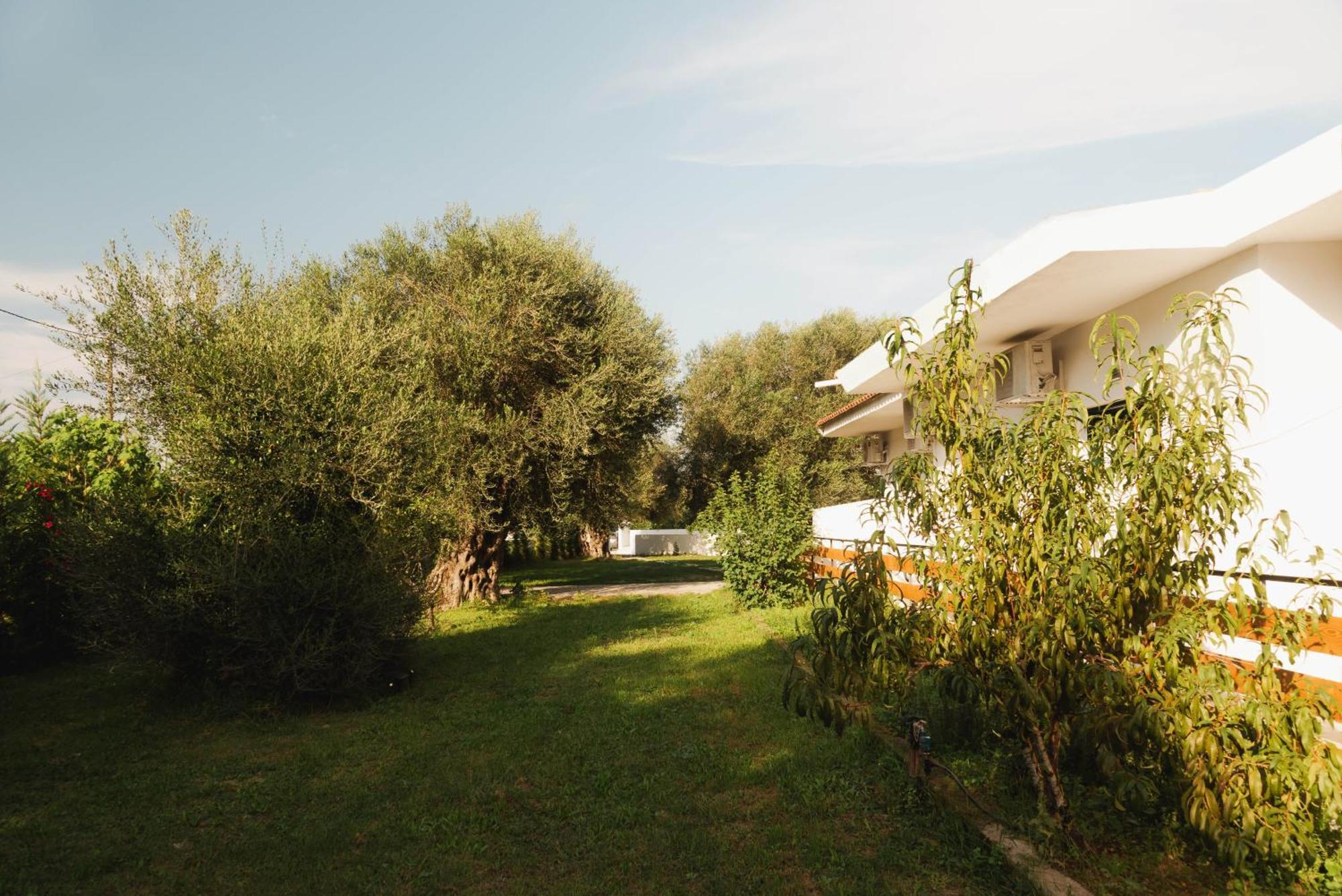 Olive Grove Suites Boutique Hotel 莫拉蒂卡 外观 照片