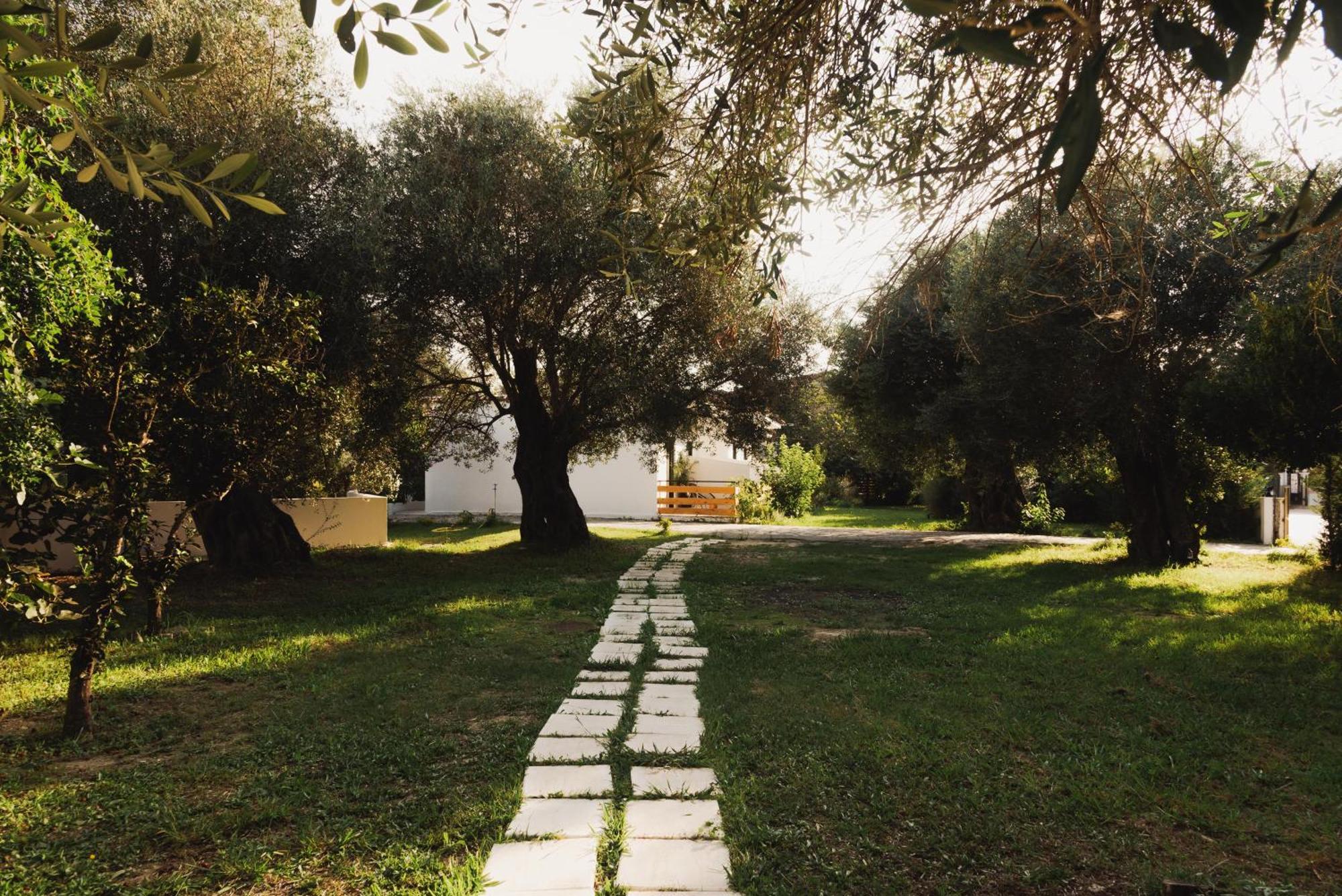 Olive Grove Suites Boutique Hotel 莫拉蒂卡 外观 照片